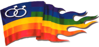 rainbow flag2