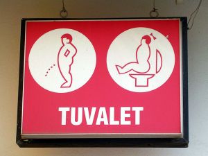 800px-Turkish_toilet_sign