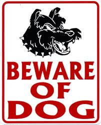 beware of the dog