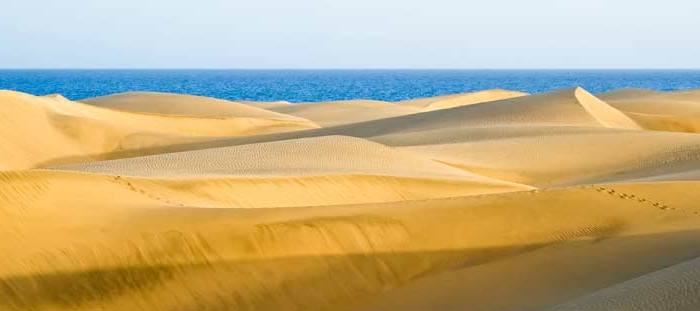 Jack and Liam Go To Gran Canaria