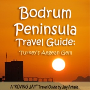 Book Cover Design view size Square (400 x 400)