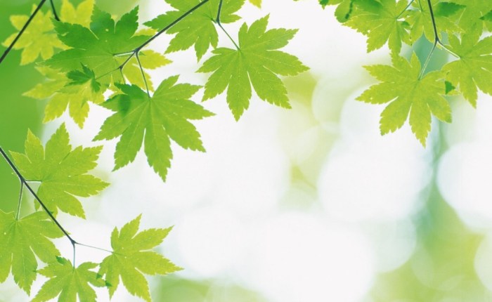 Springtime has Sprung