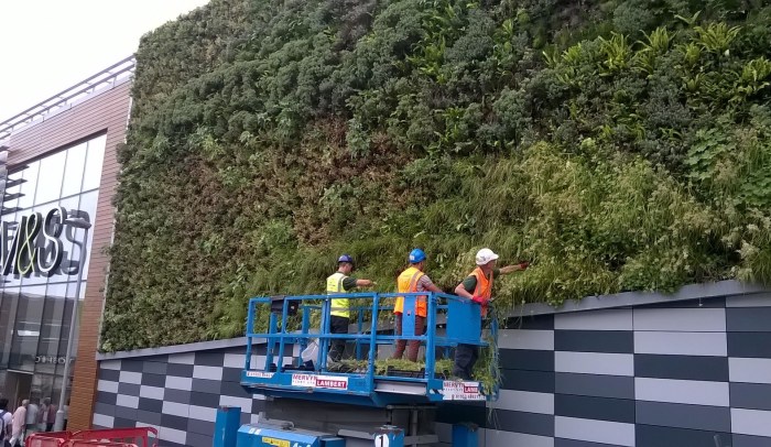 M&S Norwich Vertical Garden