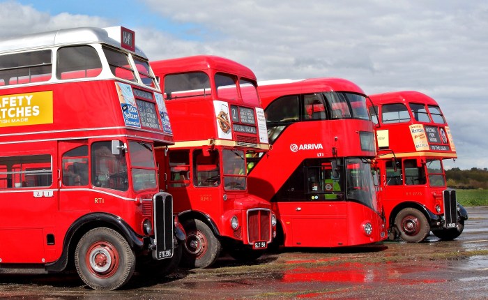 Survival of the&nbsp;Fittest