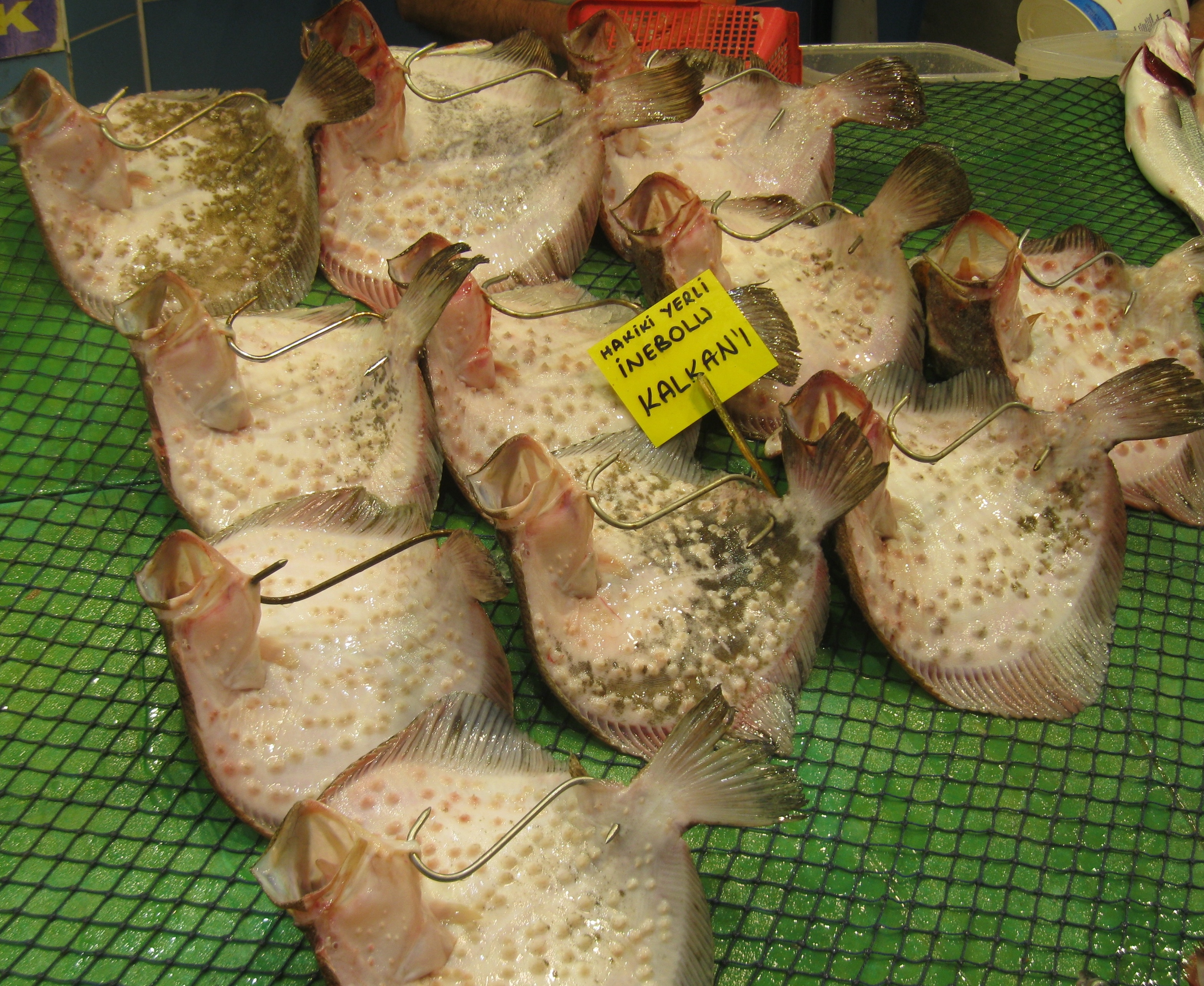 fish-street – Perking the Pansies