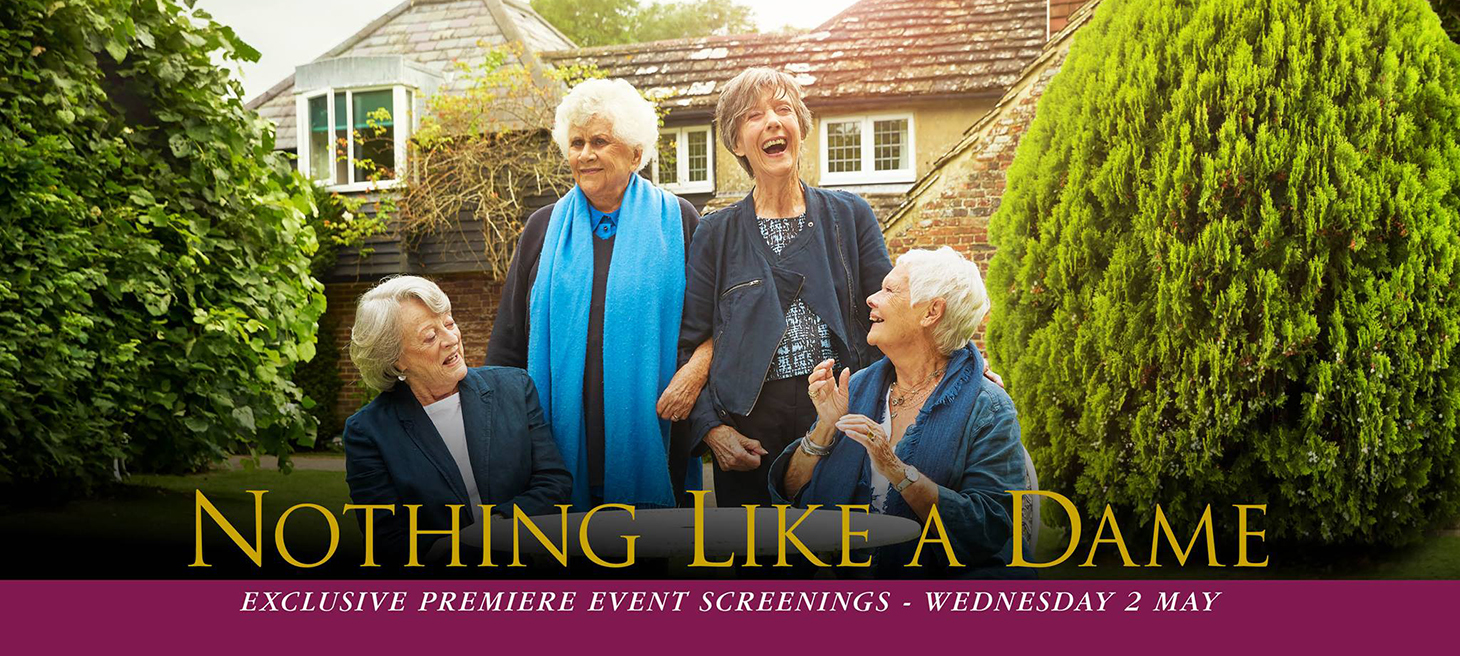 1d19-nothing like a dame banner