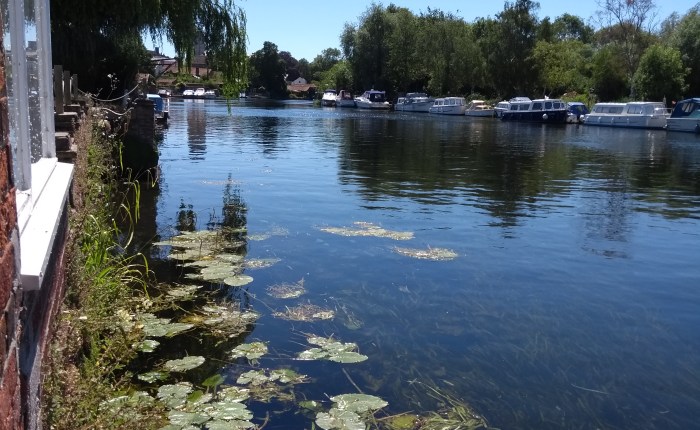 A Gay with a Bun in Bungay