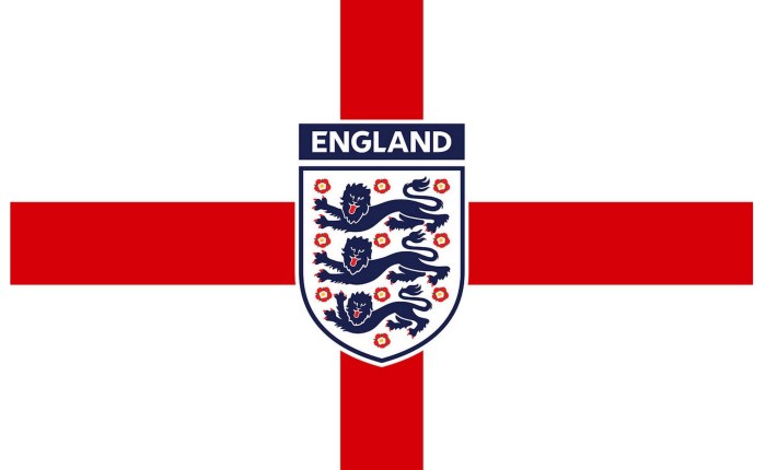 Three Lions on a Shirt