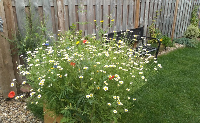 Life and Death in Paradise